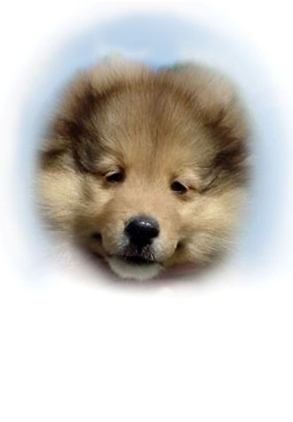 "Baby Digit"